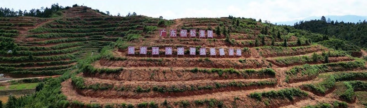 东上乡瑶前村油茶基地.jpg