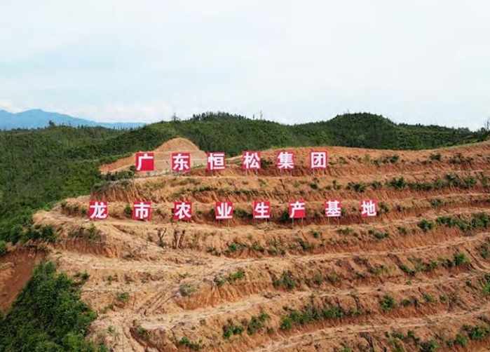 东上乡瑶前村油茶基地.jpg